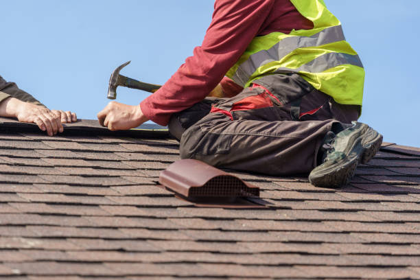 Best Local Roofing Companies  in South Les, AK