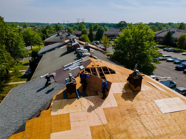 Best Residential Roof Replacement  in South Les, AK