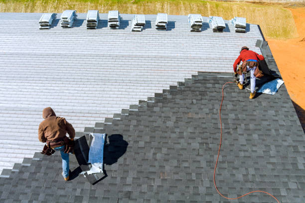 Best Roof Gutter Cleaning  in South Les, AK
