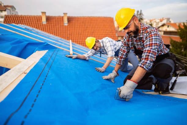 Best Roof Restoration Services  in South Les, AK