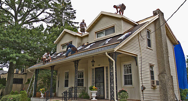 Best Roof Restoration Services  in South Les, AK
