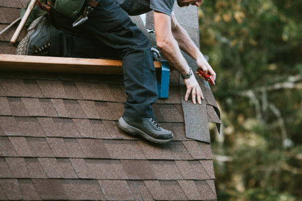 Best Gutter Installation and Roofing  in South Les, AK